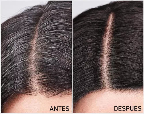 SHAMPOO CUBRE CANAS ORGANICO DEXE