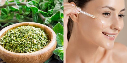 🥇 OREGAVITAL™ – CUIDADO NATURAL INSPIRADO EN EL ORÉGANO