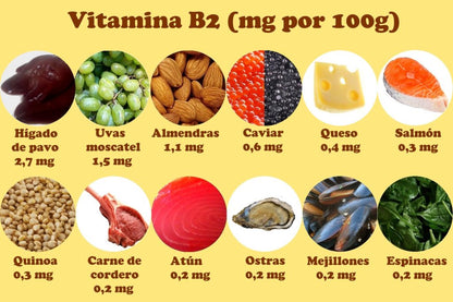 🥇 B12VITAL™ – COMPLEMENTO DIARIO PARA TU BIENESTAR