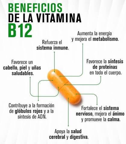 🥇 B12VITAL™ – COMPLEMENTO DIARIO PARA TU BIENESTAR