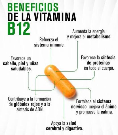🥇 B12VITAL™ – COMPLEMENTO DIARIO PARA TU BIENESTAR