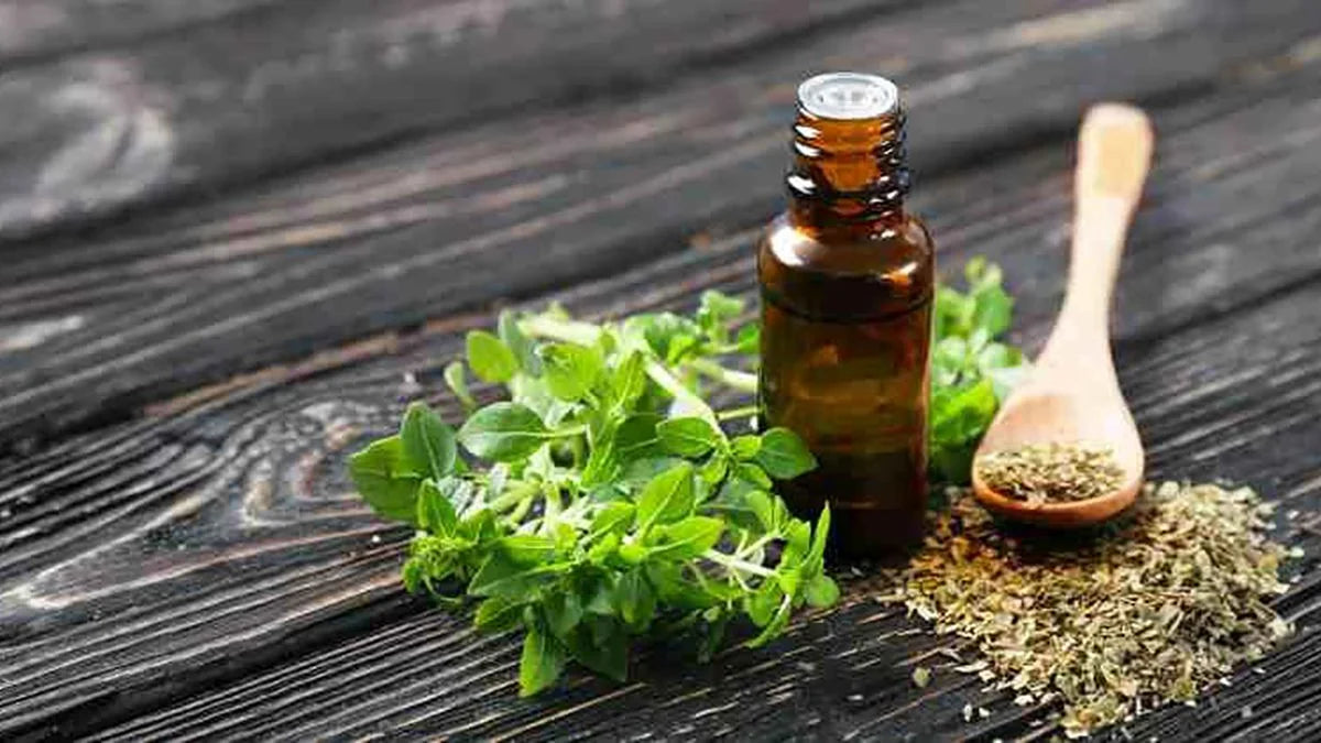 🥇 OREGAVITAL™ – CUIDADO NATURAL INSPIRADO EN EL ORÉGANO